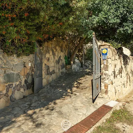 Tipologia V41 Marongiu