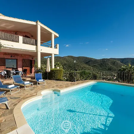 Tipologia V41 * Marongiu