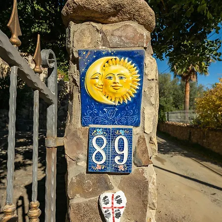 Tipologia V41