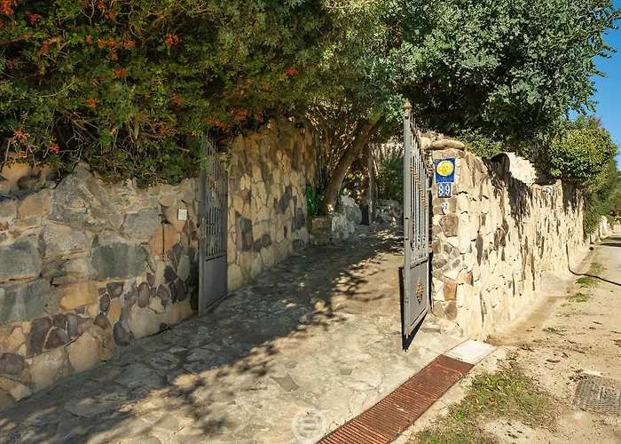 Tipologia V41 Marongiu